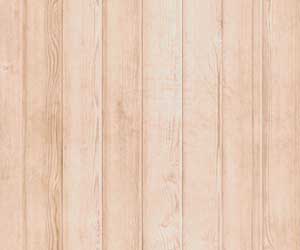 免费短信轰炸机试用